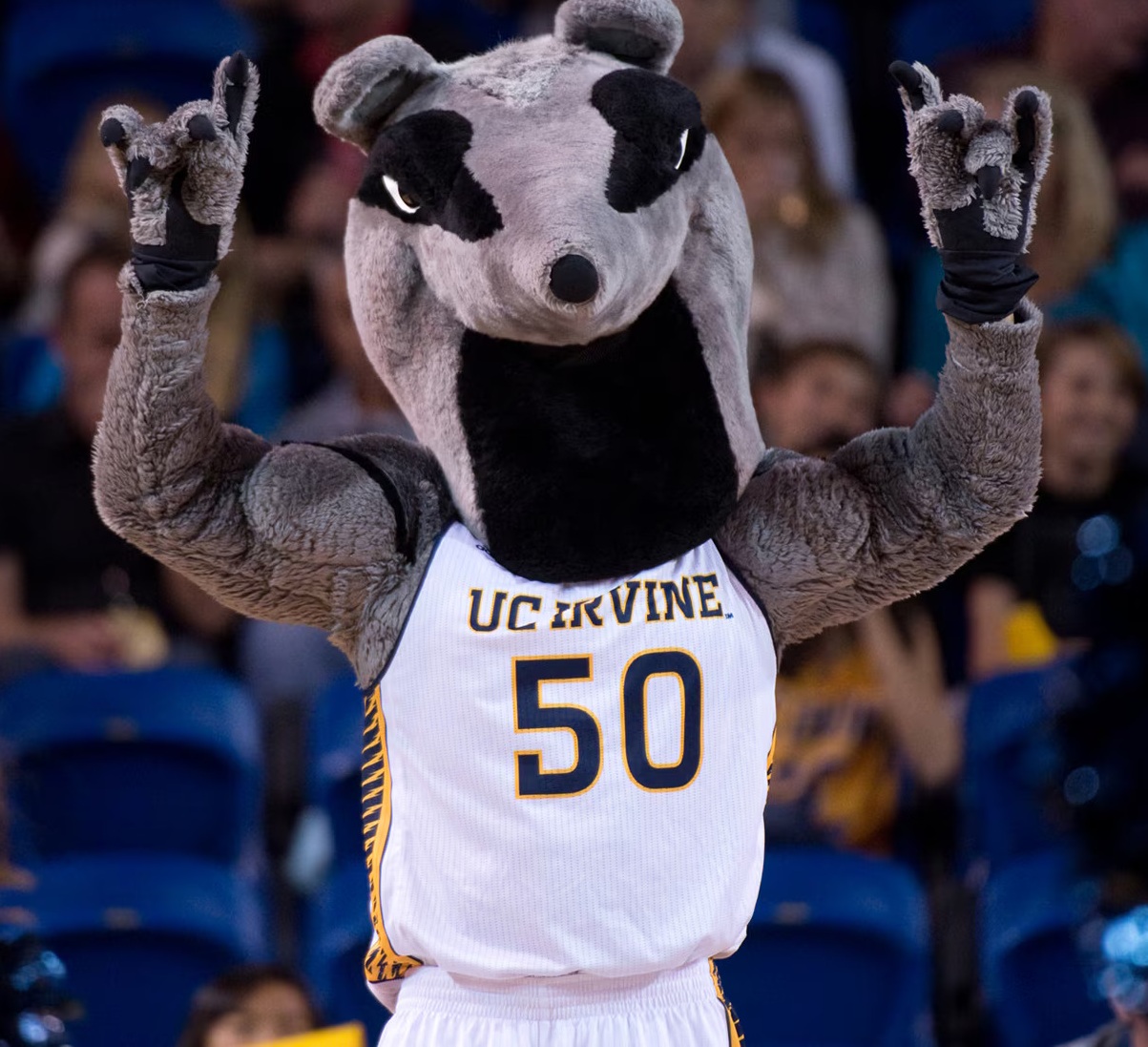UC Irvine — Peter the Anteater